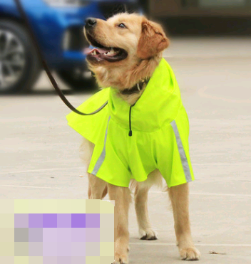 New dog waterproof  raincoat