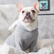 Spring And Autumn Pet Clothing