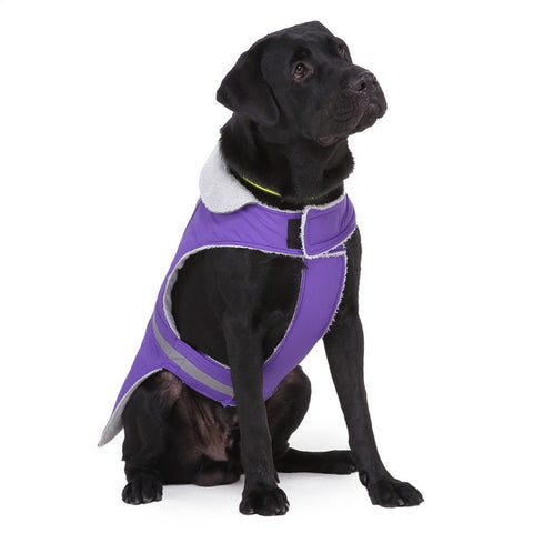 winter night reflective pet clothes