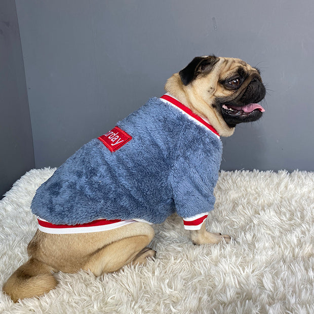 Pet dog sweater