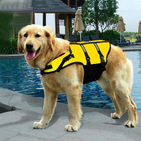 Pet Life Jackets/swimwear