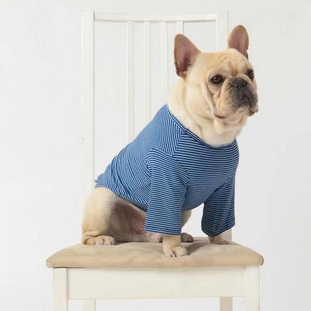 Casual Dog Clothes