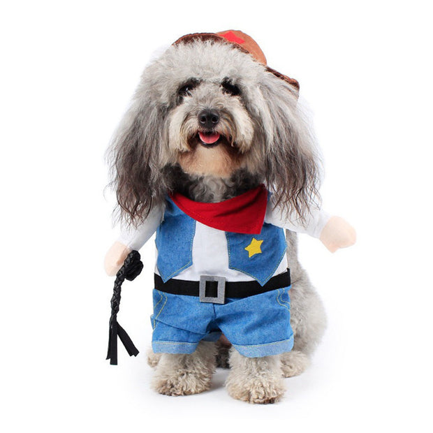 Funny pet clothes