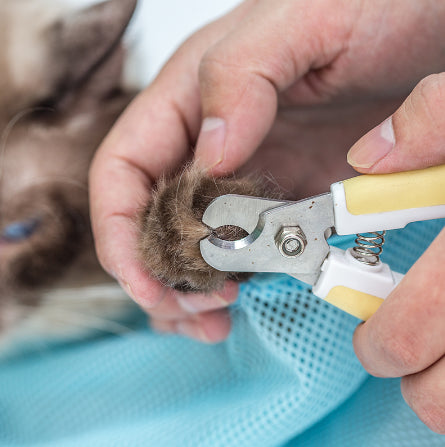 Pet Soft Grooming Bag