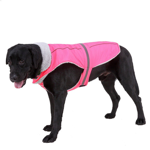 winter night reflective pet clothes