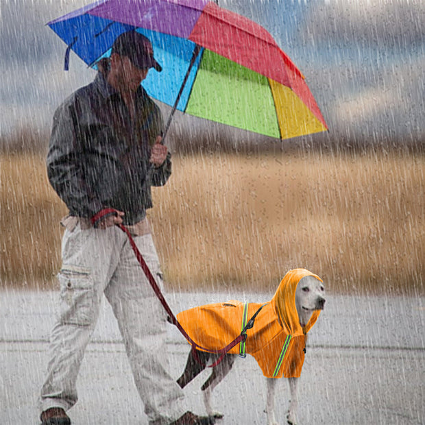 New dog waterproof  raincoat