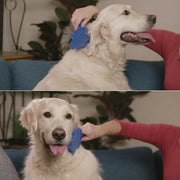 Hair Remover Gentle Pet Grooming Brush