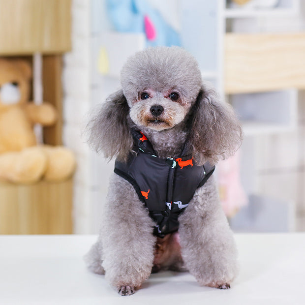 Padded vest pet clothes