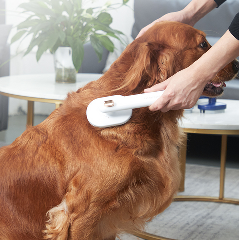 Self Cleaning Comb Pet Hair Removal