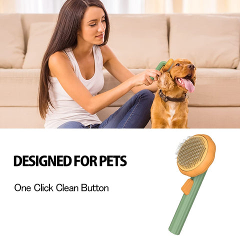 Pet Pumpkin Slicker Brush