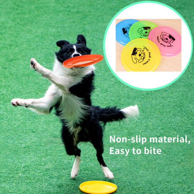 Pet Outdoor Interactive Toys